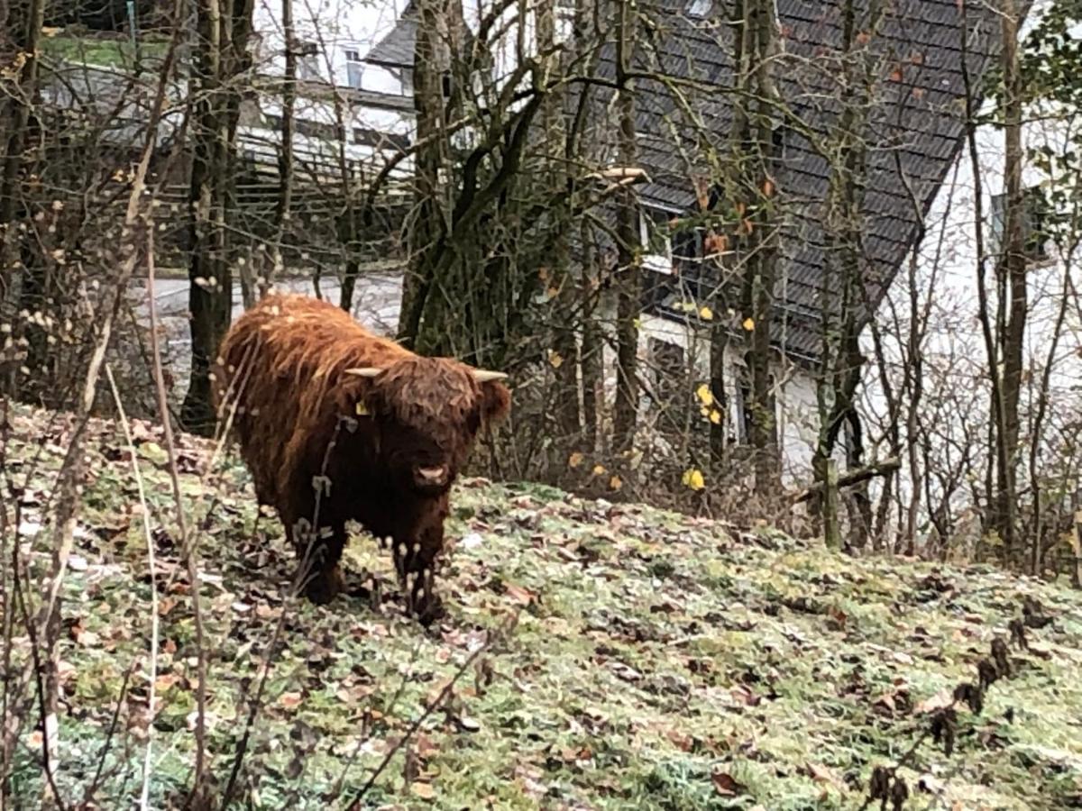 Ferienwohnung Koelbel Familienurlaub In Der Natur Schmallenberg Exterior foto